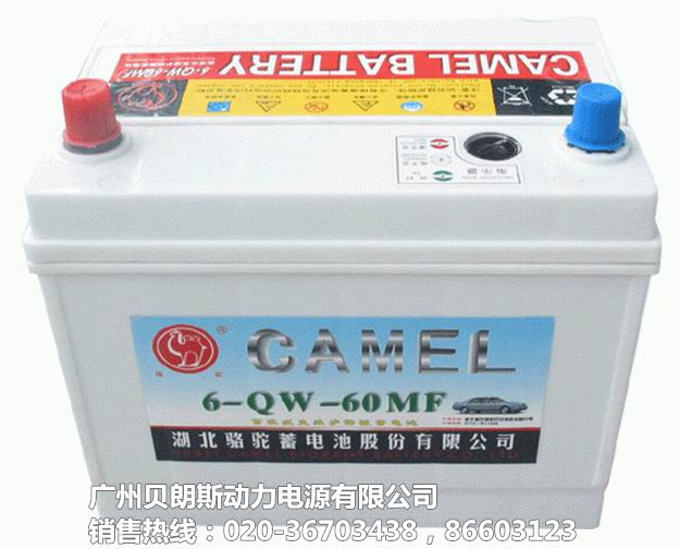 6-QW-60MF,12V60AH